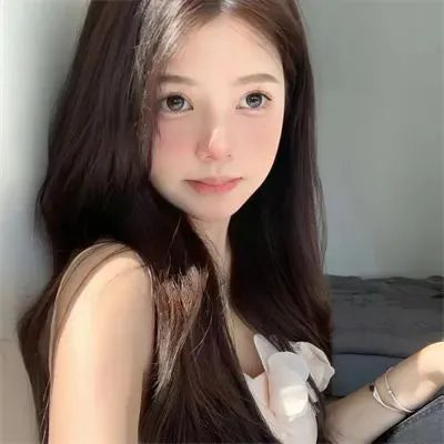 这只是鸟
